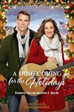Watch A Homecoming for the Holidays Freemovieswatch