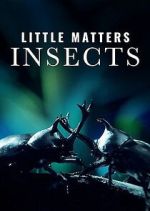Watch Little Matters: Insects Freemovieswatch