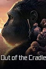 Watch Out of the Cradle Freemovieswatch