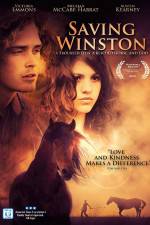 Watch Saving Winston Freemovieswatch