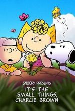 Watch Snoopy Presents: It's the Small Things, Charlie Brown (TV Special 2022) Freemovieswatch