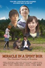 Watch Miracle in Kasama Freemovieswatch