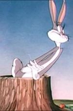 Watch The Unruly Hare Freemovieswatch