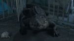Watch Croc! Freemovieswatch