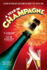 Watch A Year in Champagne Freemovieswatch