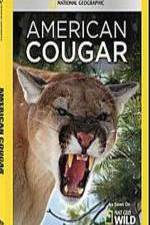 Watch National Geographic - American Cougar Freemovieswatch
