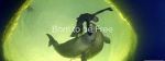 Watch Born to Be Free Freemovieswatch