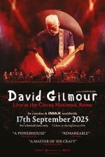 Watch David Gilmour Live at the Circus Maximus, Rome Freemovieswatch