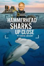 Watch Hammerhead Sharks Up Close with Bertie Gregory Freemovieswatch