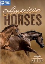 Watch American Horses Freemovieswatch