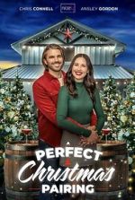 Watch A Perfect Christmas Pairing Freemovieswatch