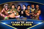 Watch WWE Hall of Fame Freemovieswatch