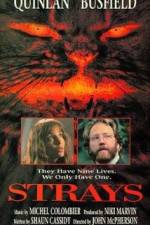 Watch Strays Freemovieswatch