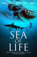 Watch Sea of Life Freemovieswatch