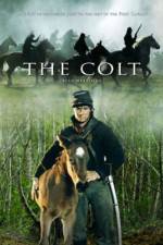 Watch The Colt Freemovieswatch