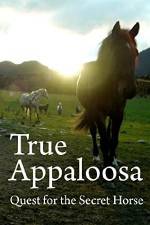 Watch True Appaloosa Freemovieswatch