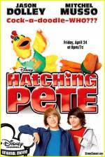 Watch Hatching Pete Freemovieswatch