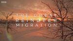 Watch All Aboard! The Great Reindeer Migration Freemovieswatch