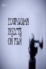 Watch Edwardian Insects on Film Freemovieswatch