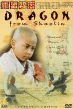 Watch Long zai Shaolin Freemovieswatch