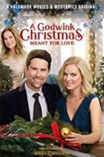 Watch A Godwink Christmas: Meant for Love Freemovieswatch