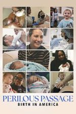 Watch Perilous Passage: Birth in America Freemovieswatch