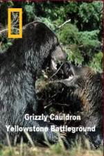 Watch National Geographic Grizzly Cauldron Freemovieswatch