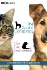 Watch The Cat Connection Freemovieswatch