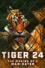 Watch Tiger 24 Freemovieswatch