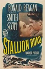 Watch Stallion Road Freemovieswatch