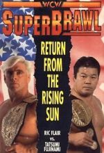 Watch WCW SuperBrawl I Freemovieswatch