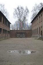 Watch Made in Auschwitz: The Untold Story of Block 10 Freemovieswatch
