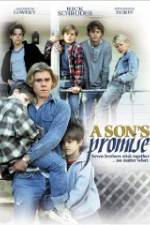 Watch A Son's Promise Freemovieswatch