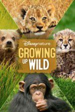 Watch Growing Up Wild Freemovieswatch
