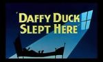 Watch Daffy Duck Slept Here (Short 1948) Freemovieswatch