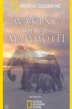 Watch Waking the Baby Mammoth Freemovieswatch