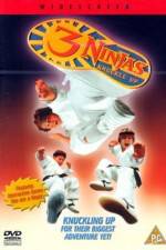 Watch 3 Ninjas Knuckle Up Freemovieswatch
