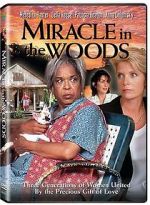 Watch Miracle in the Woods Freemovieswatch