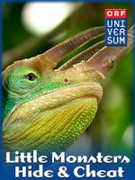 Watch Little Monsters - Hide & Cheat Freemovieswatch
