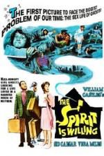 Watch The Spirit Is Willing Freemovieswatch