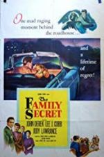 Watch The Family Secret Freemovieswatch
