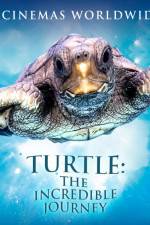 Watch Turtle The Incredible Journey Freemovieswatch