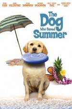 Watch The Dog Who Saved Summer Freemovieswatch