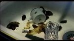 Watch Coup de lune (TV Short 2000) Freemovieswatch