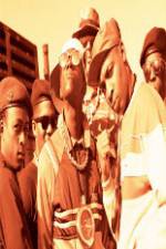 Watch Public Enemy: Prophets Of Rage Freemovieswatch