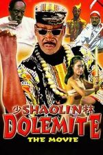 Watch Shaolin Dolemite Freemovieswatch