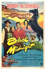 Watch Black Midnight Freemovieswatch