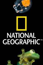 Watch National Geographic Wild Dam Beavers Freemovieswatch