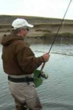 Watch Patagonian Silver Freemovieswatch