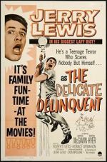 Watch The Delicate Delinquent Freemovieswatch